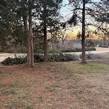 Safe-Again-Storm-Debris-Cleanup-In-Oxford-MS 14